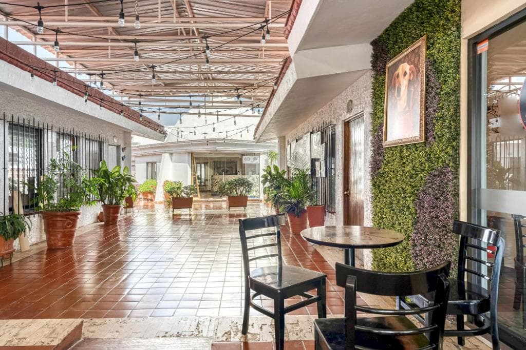 Hotel Arana imagen 6